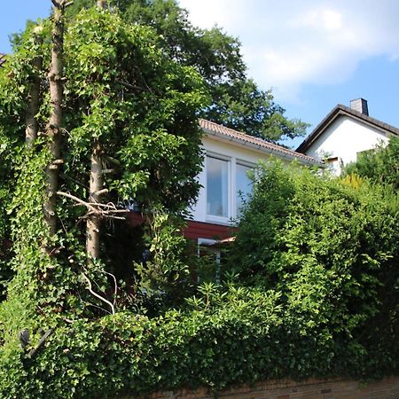 Ferienwohnung Zum Rosengarten West015 Westerwald Driedorf Exterior foto