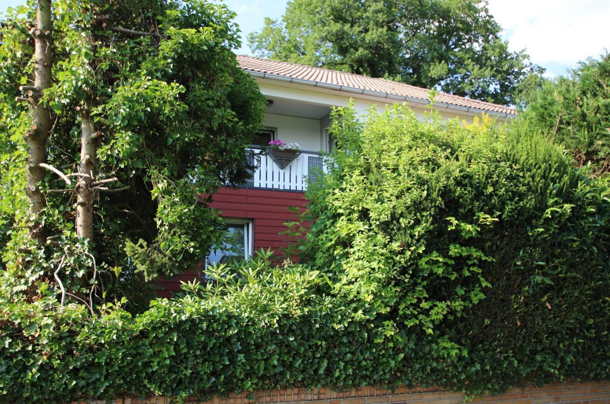 Ferienwohnung Zum Rosengarten West015 Westerwald Driedorf Exterior foto