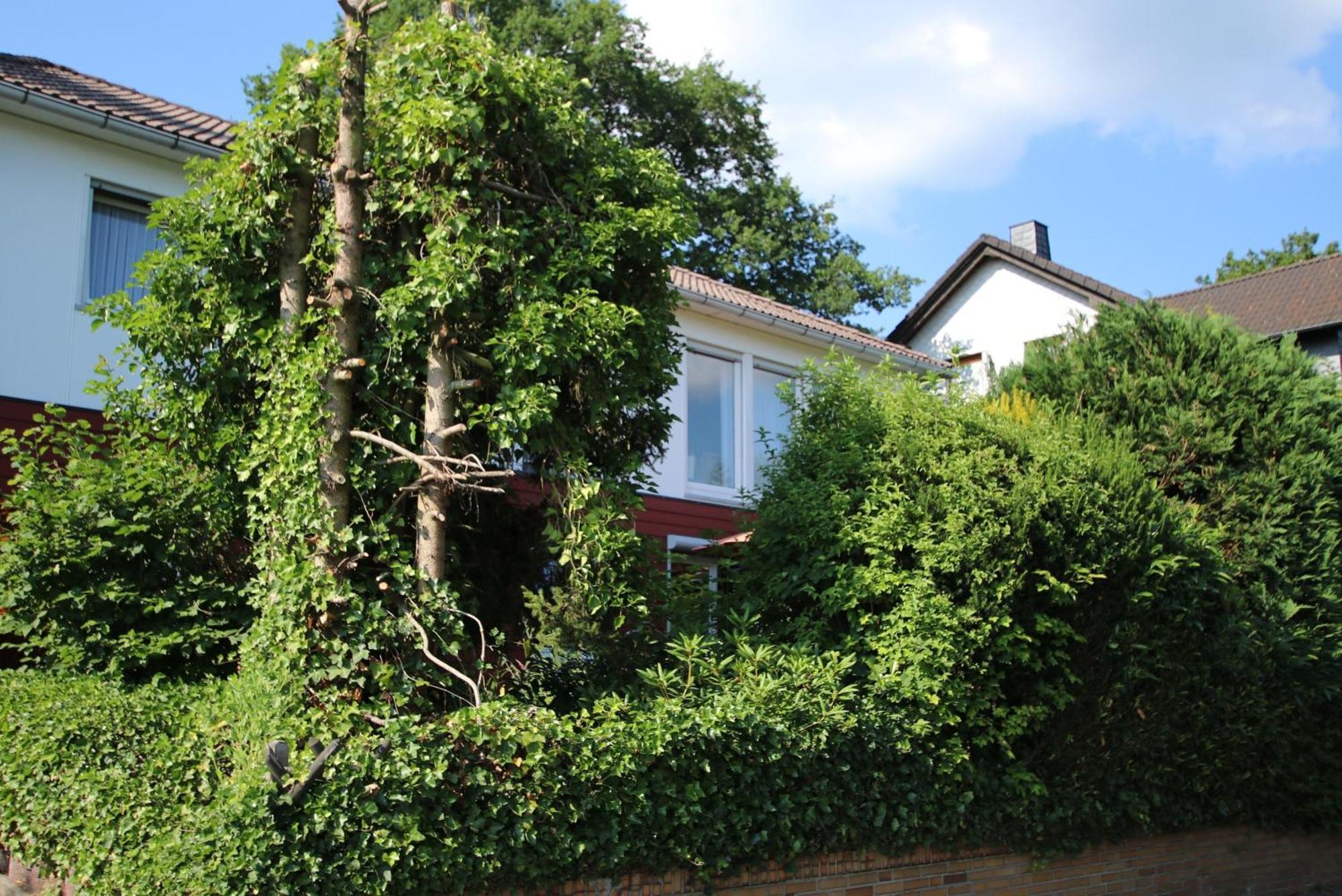 Ferienwohnung Zum Rosengarten West015 Westerwald Driedorf Exterior foto